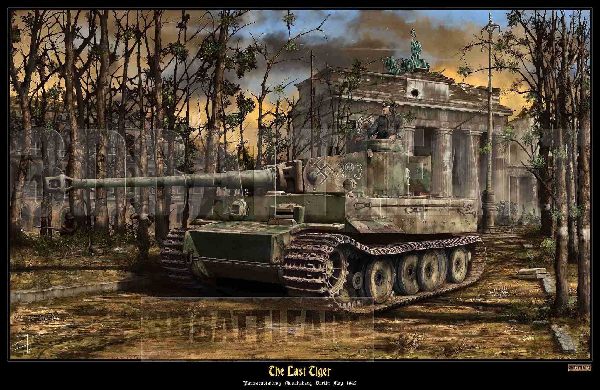 last tiger1 _web.jpg