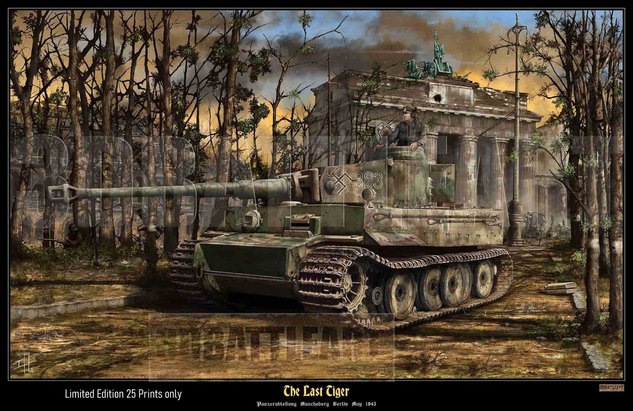 last tiger1 _web.jpg