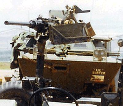 Lil Surfer g2633_1tn.jpg