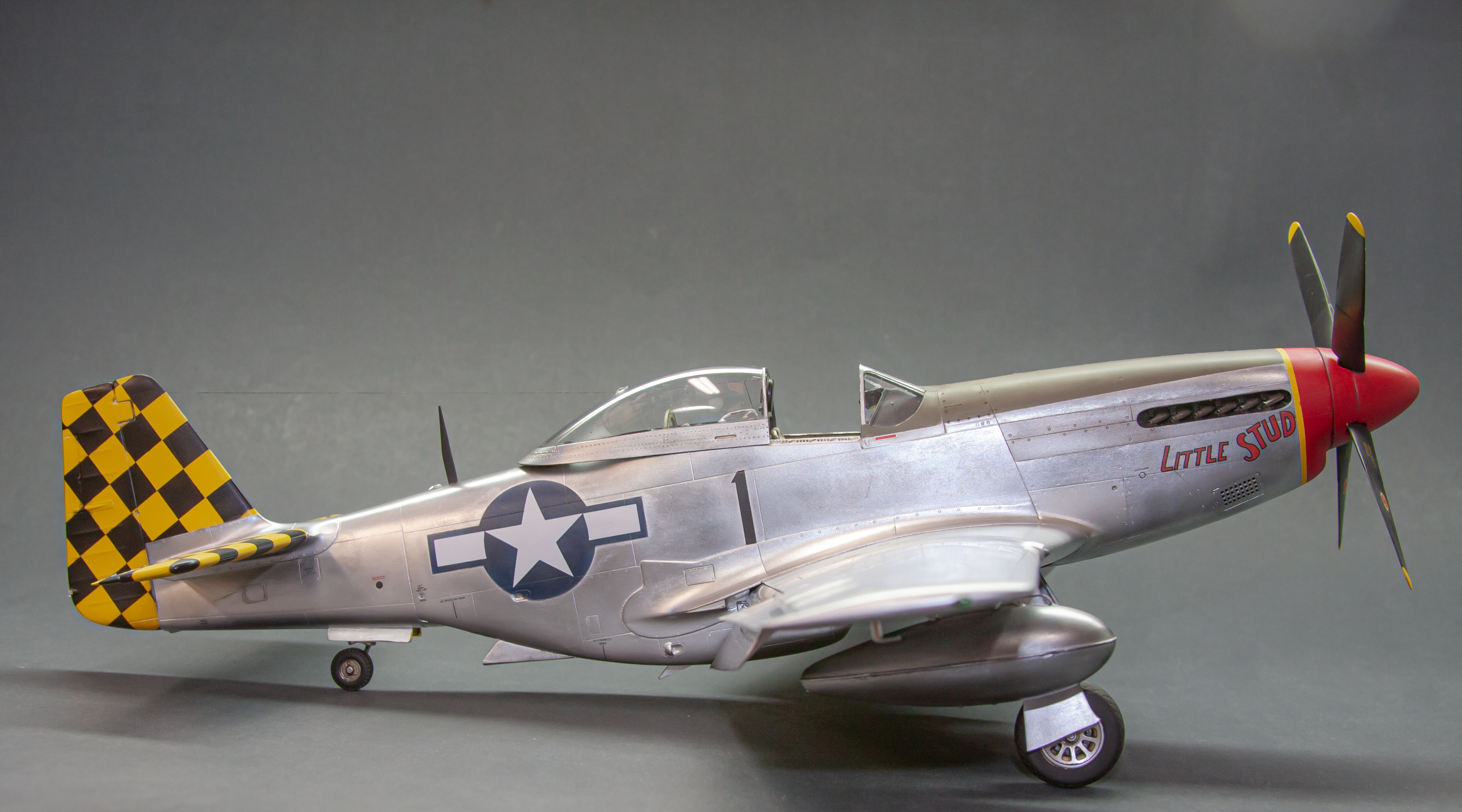 Little StudRight.jpg