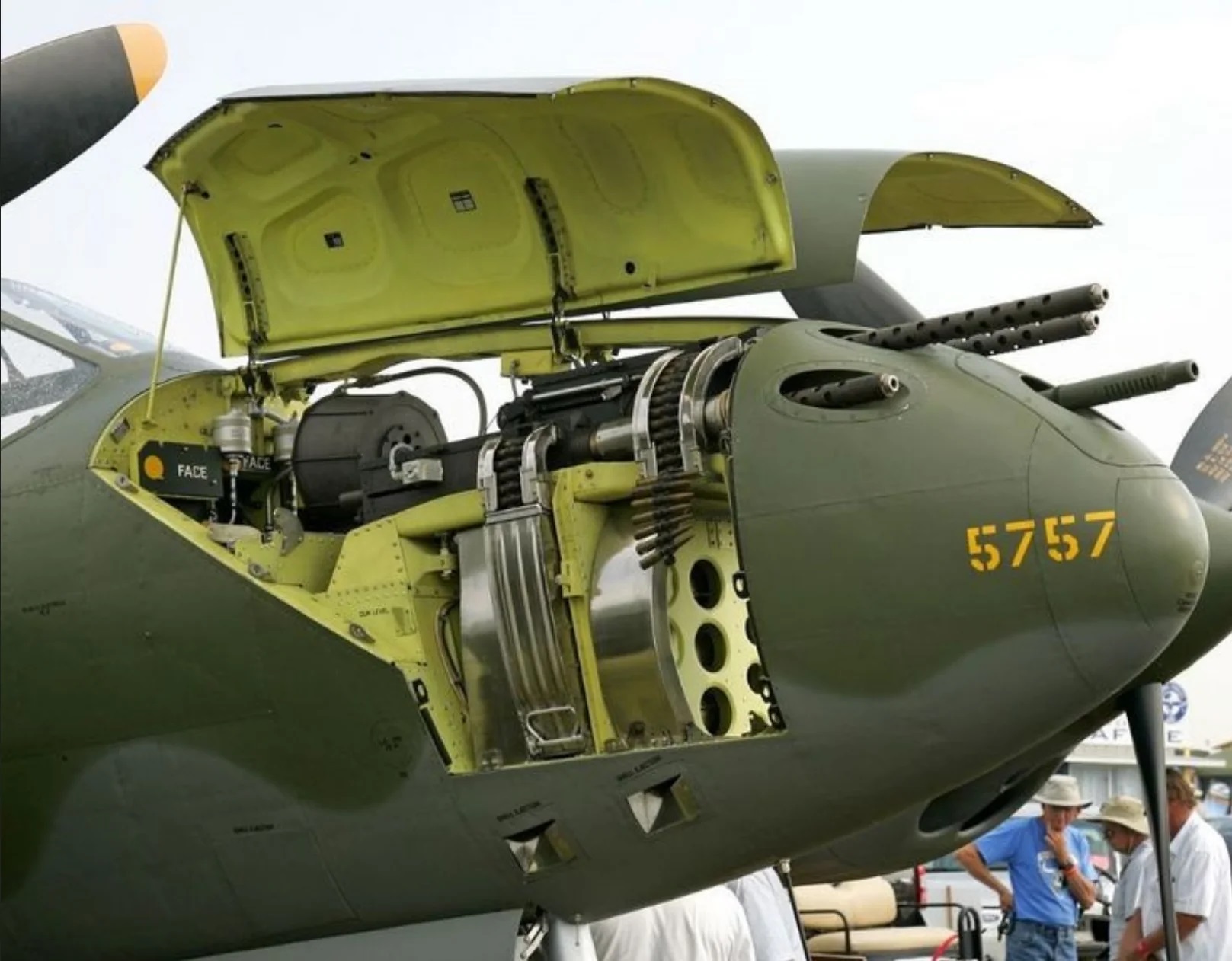 lockheed-p-38-lightning-open-nose-v0-b7zvnz6r8z291.jpg