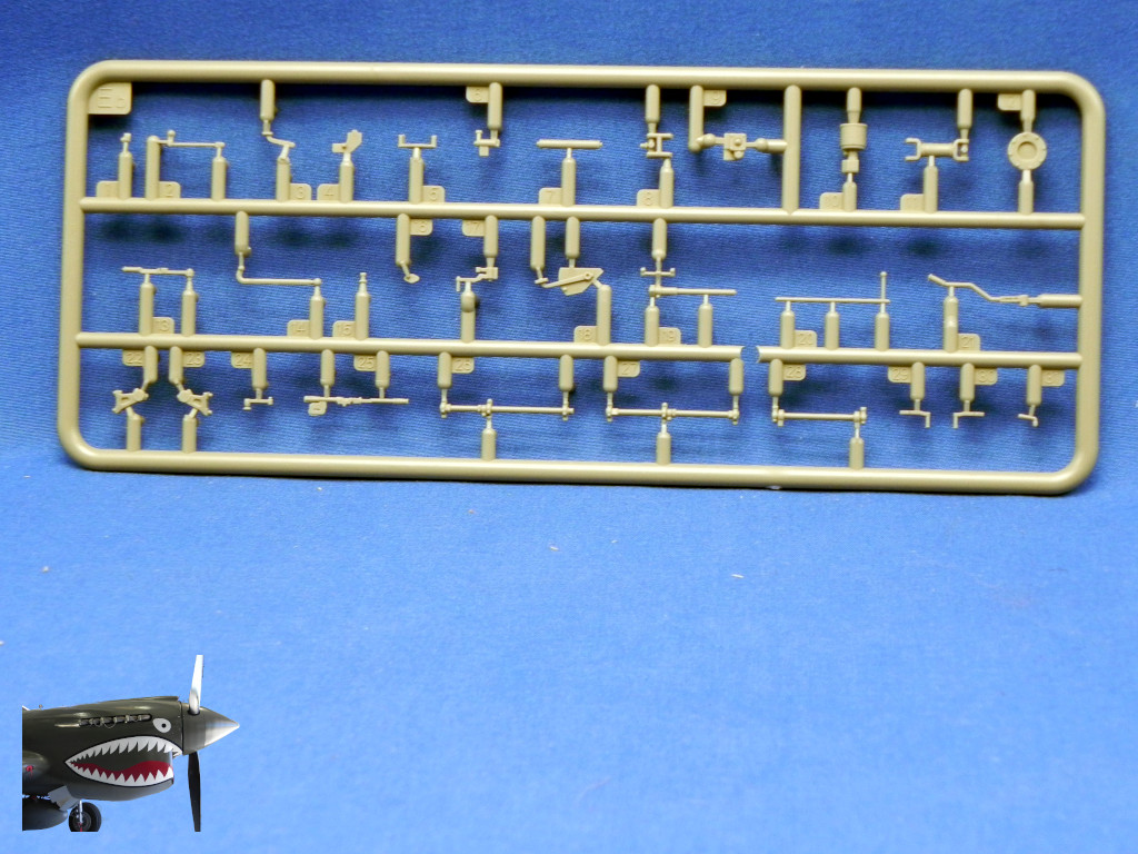 MA35352StuGIIIAusfGAlkettOct43SprueEbFront.JPG