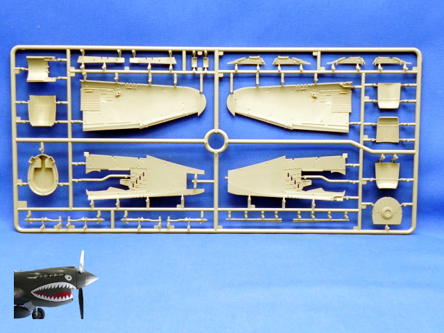 MA48001P47D25REThunderboltSprueArear.JPG
