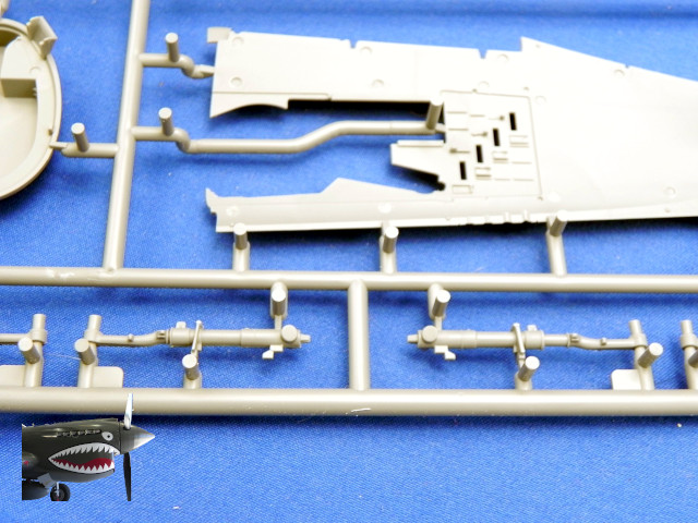 MA48001P47D25REThunderboltSprueAx2.JPG