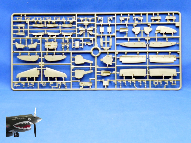 MA48001P47D25REThunderboltSprueBrear.JPG