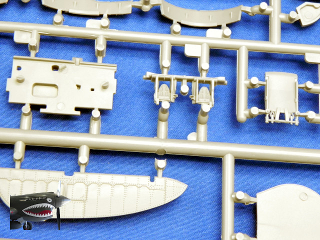 MA48001P47D25REThunderboltSprueBx1.JPG