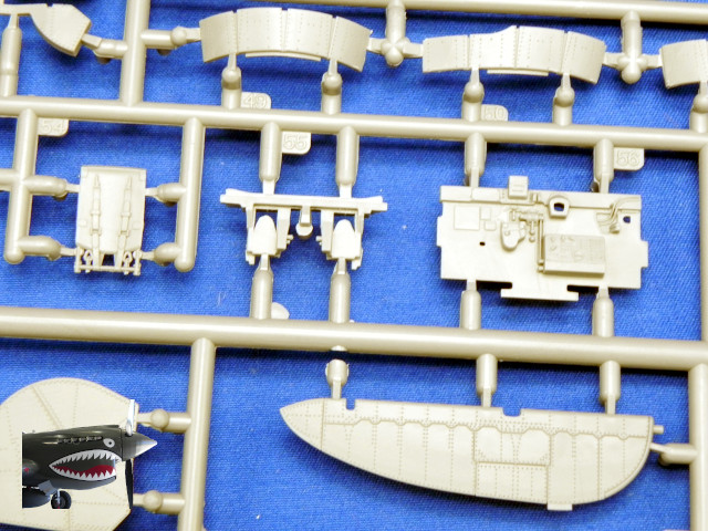 MA48001P47D25REThunderboltSprueBx2.JPG