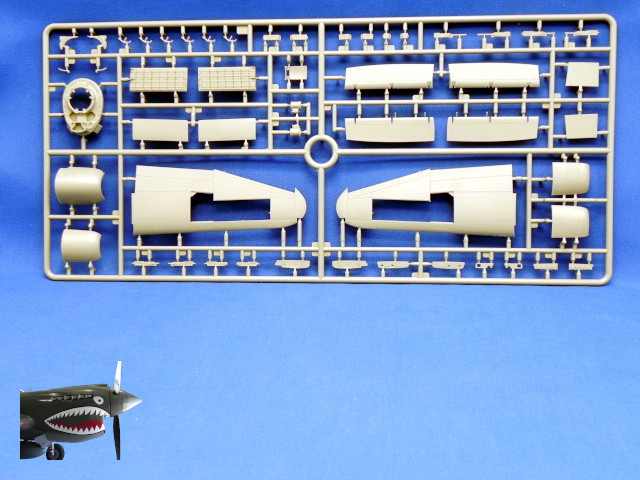 MA48001P47D25REThunderboltSprueEfront.JPG