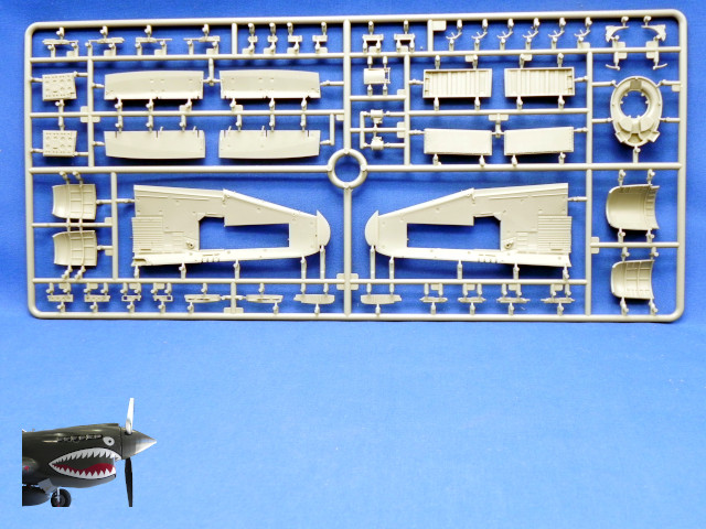 MA48001P47D25REThunderboltSprueErear.JPG