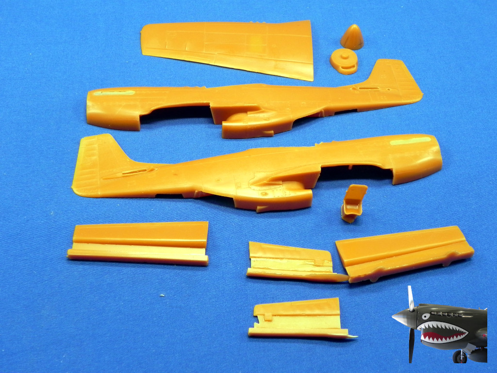 MedallionModels P51D.JPG