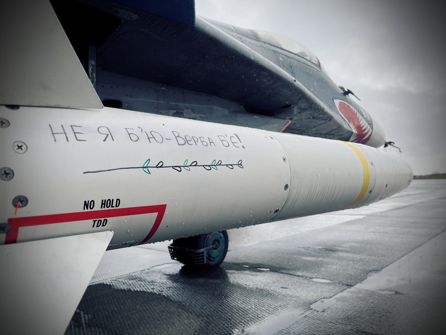 MiG-29 9-12 UAF 2023.jpeg