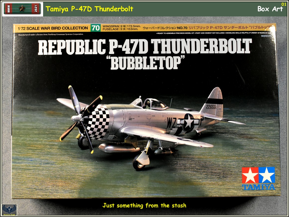 MMM2021 P-47 -01.jpg