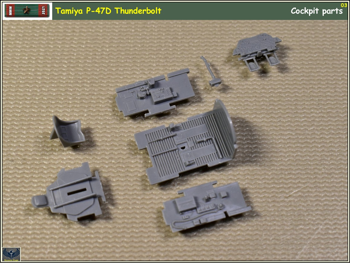 MMM2021 P-47 -03.jpg