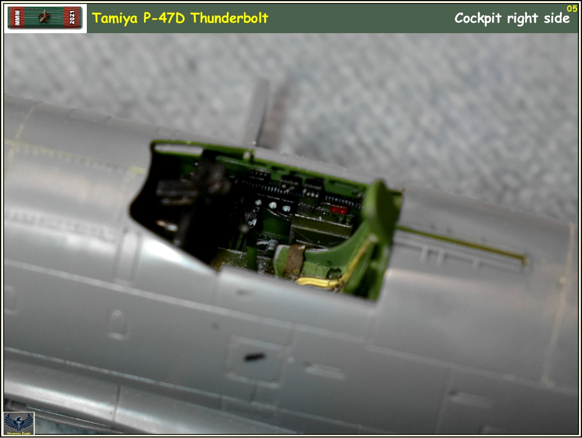 MMM2021 P-47 -05.jpg