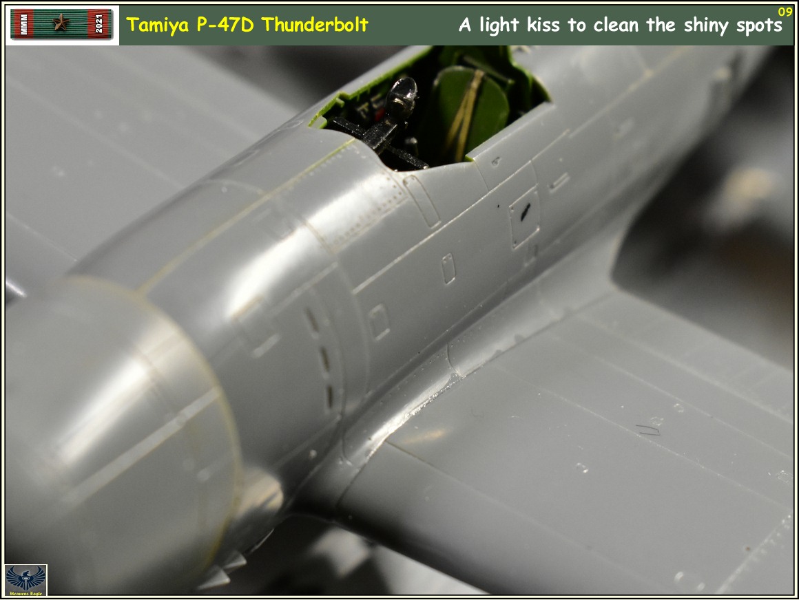 MMM2021 P-47 -09.jpg