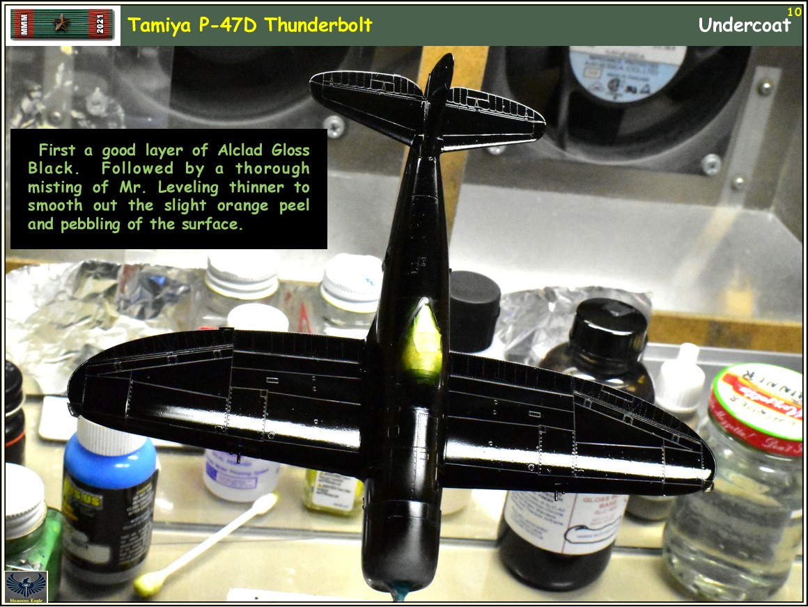 MMM2021 P-47 -10.jpg