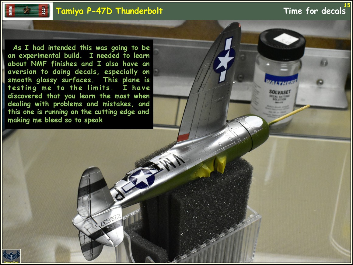 MMM2021 P-47 -15.jpg