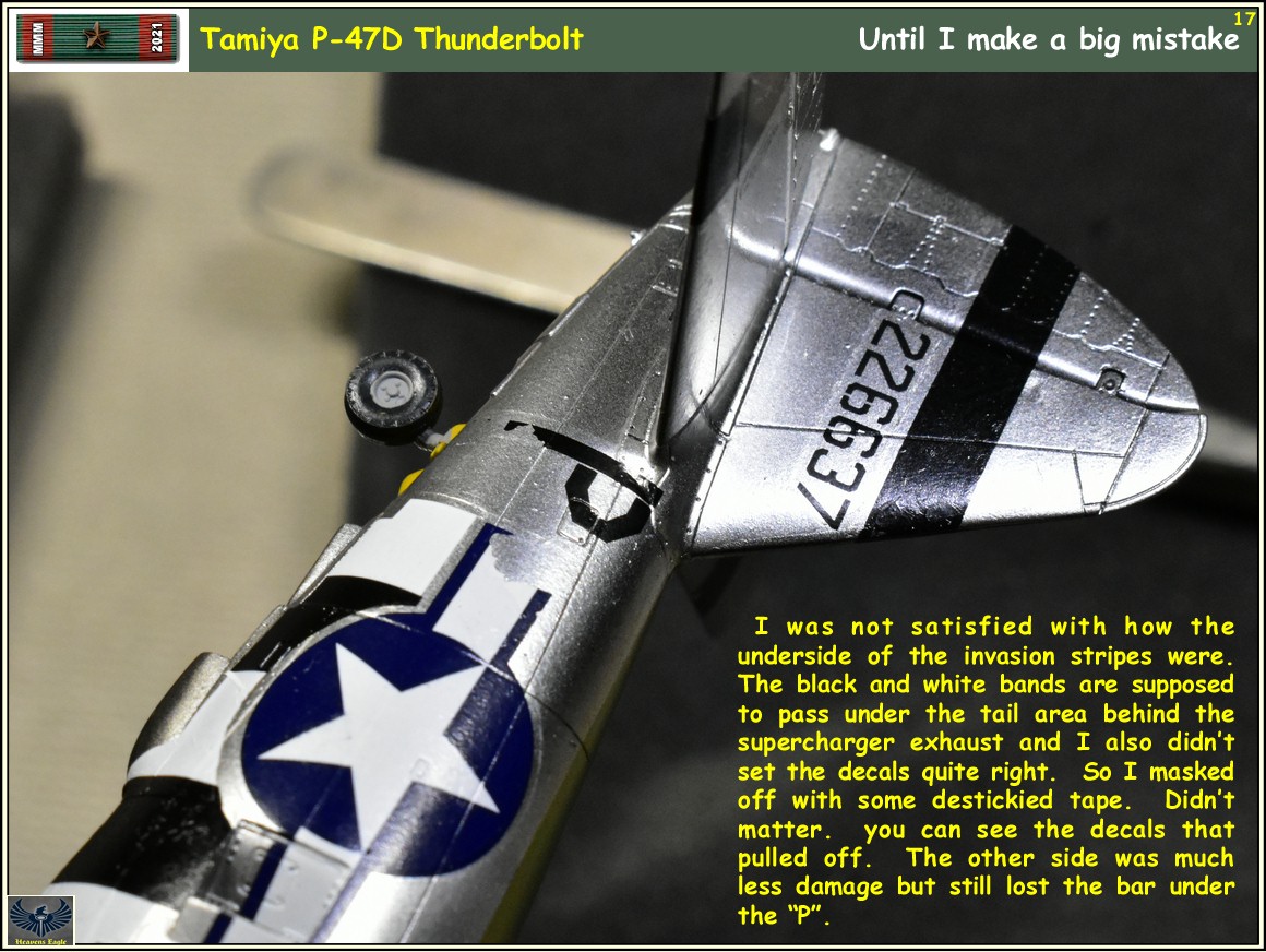 MMM2021 P-47 -17.jpg