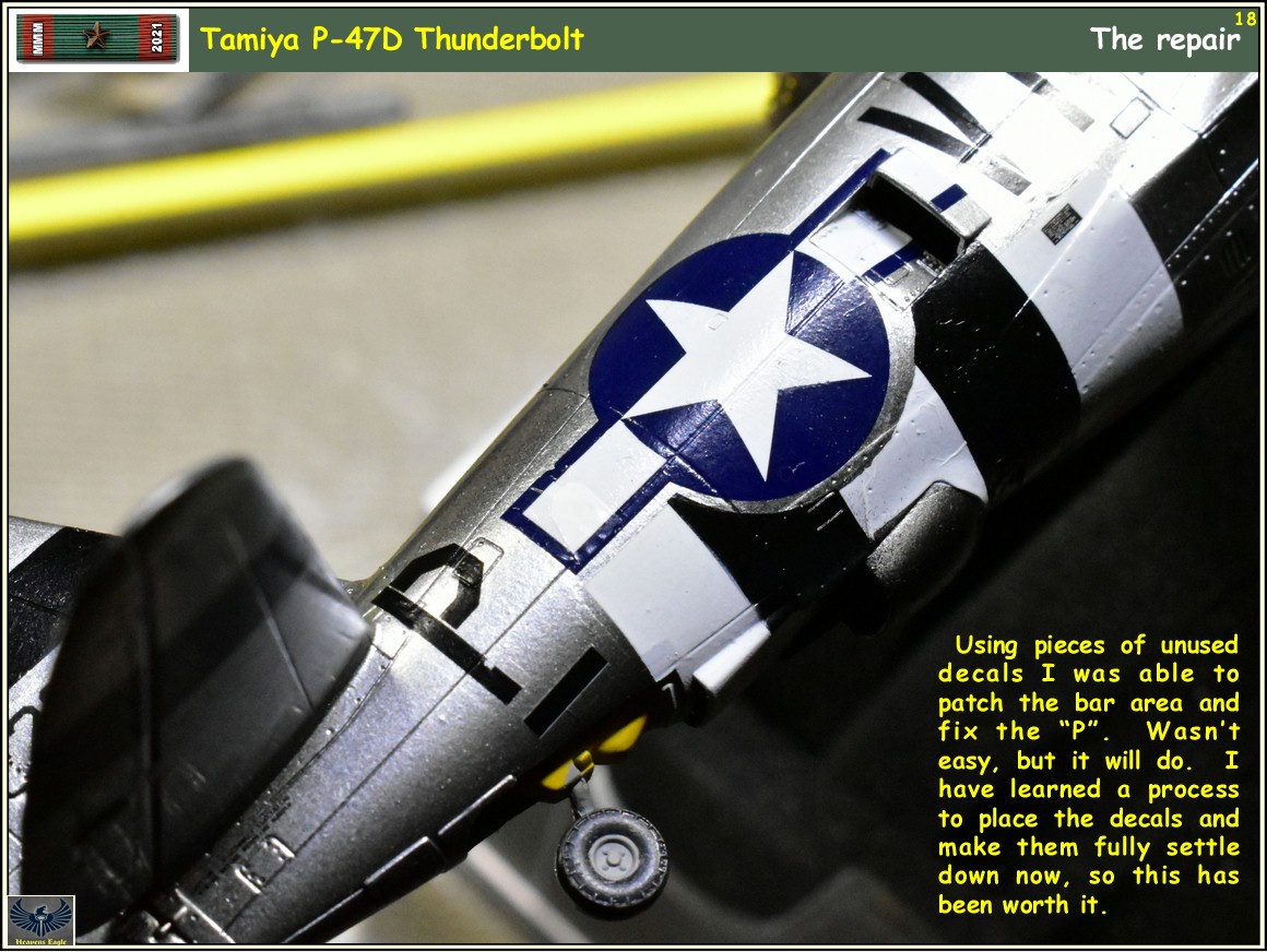 MMM2021 P-47 -18.jpg