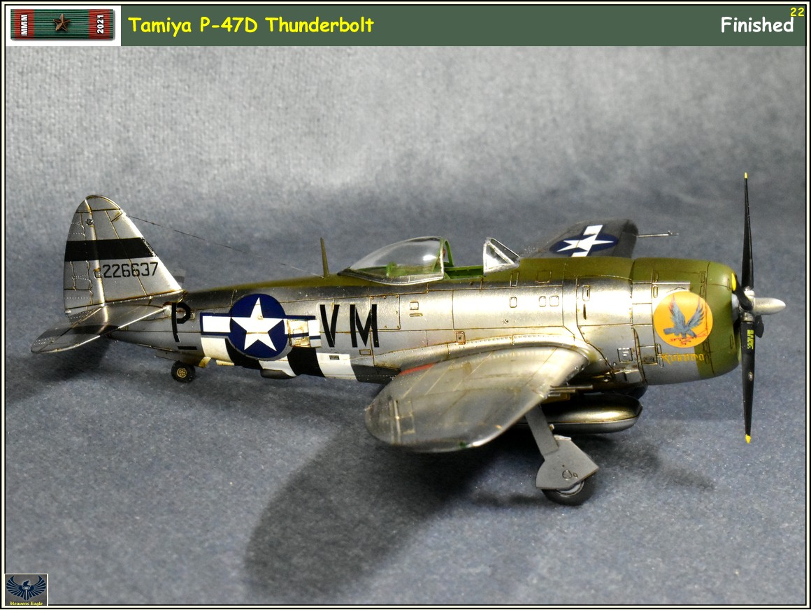 MMM2021 P-47 -22.jpg