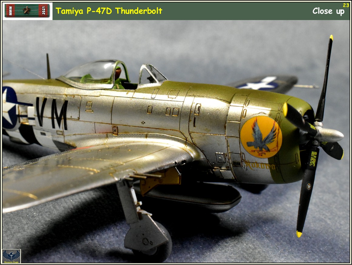 MMM2021 P-47 -23.jpg