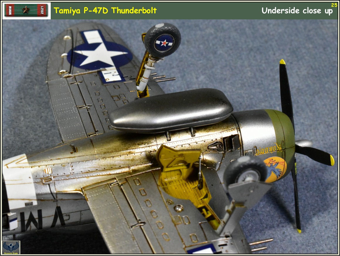 MMM2021 P-47 -25.jpg