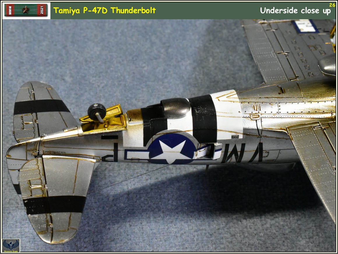 MMM2021 P-47 -26.jpg