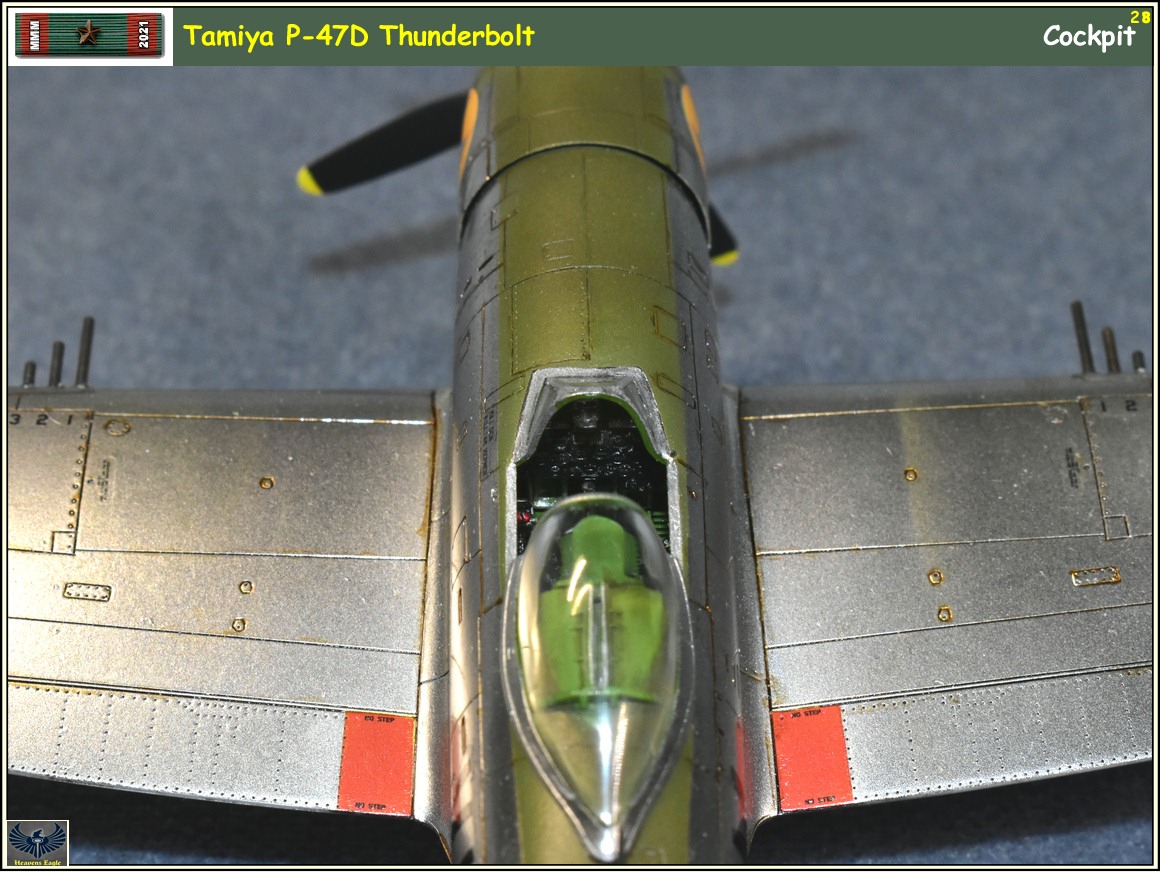 MMM2021 P-47 -28.jpg