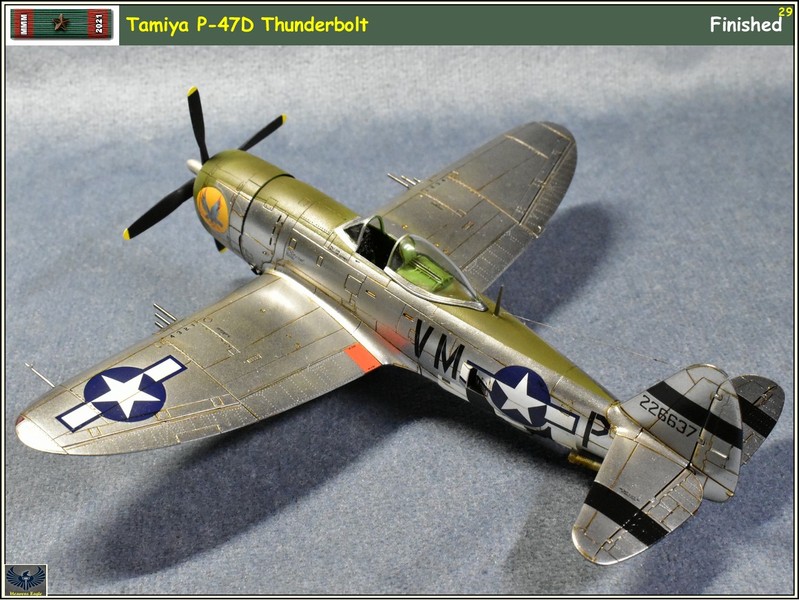 MMM2021 P-47 -29.jpg