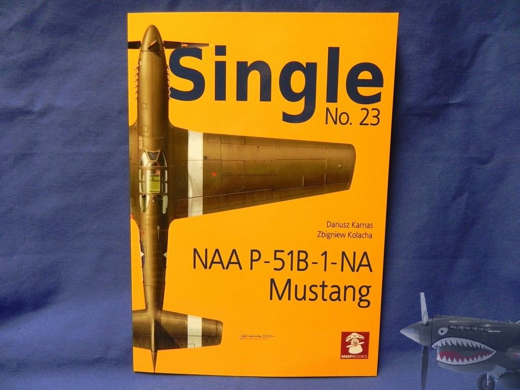 MMPSingle23P-51B1NA001.JPG
