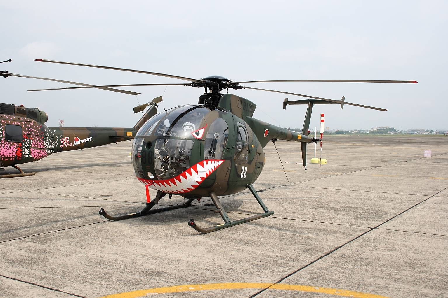 !OH-6D Shark.jpg