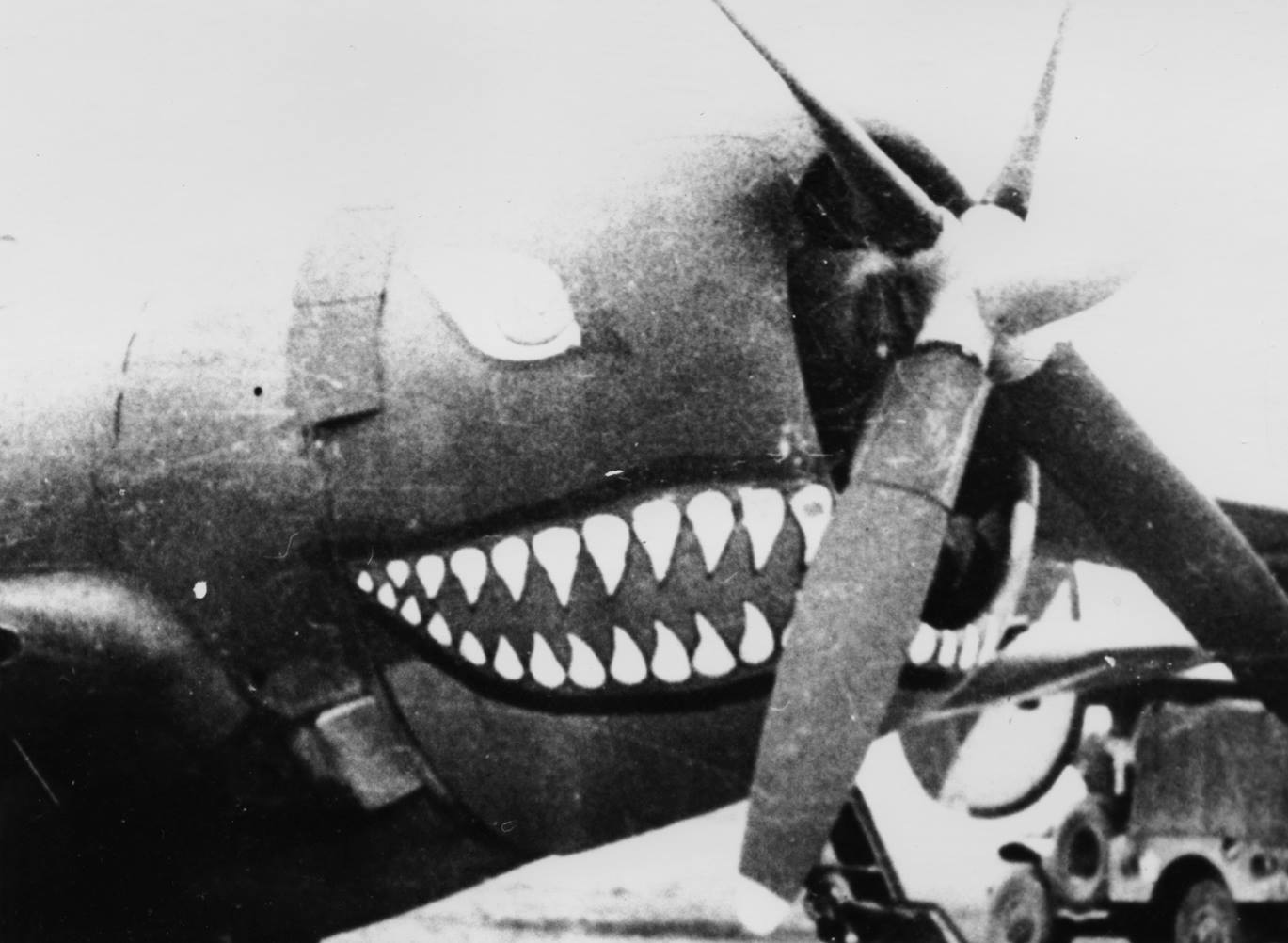 P-47C-5-RE 41-6380 448thBGSeethingsummer1944.jpg