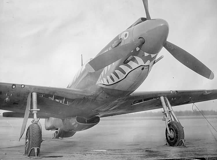 P-51 A-36 shark1.jpg