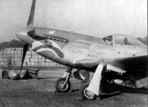 P-51D-5 Bennet02500px.jpg