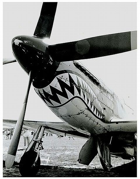 P-51D elmore480px.jpg