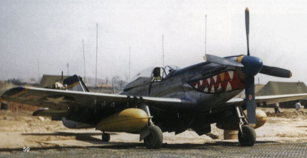 P-51D F-51D 18FBG shark.jpg