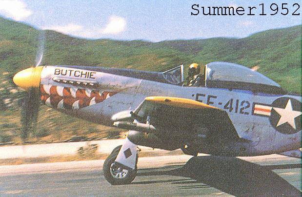 P-51D F-51D Butchie 00.jpeg