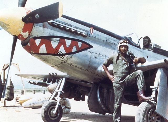 P-51D F-51D M1_James, Danie_ _Chappie_, Jr._pho 8.jpg