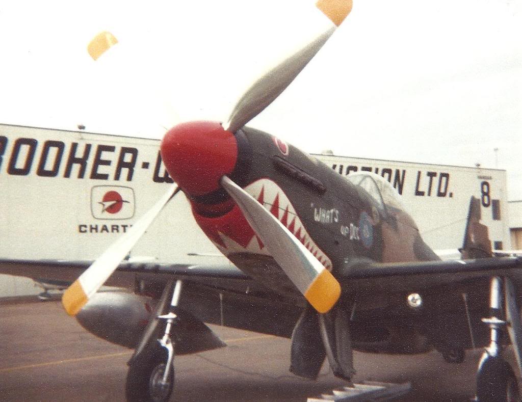 P-51D FAB EMA2001.jpg