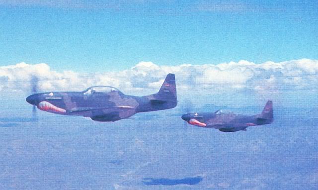 P-51D FAB F-51.jpg