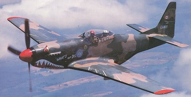 P-51D FAB F-51Cavallier03.jpg