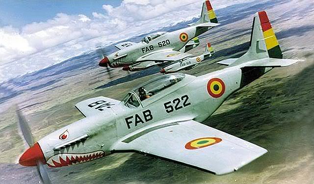 P-51D FAB f3356823459lg.jpg