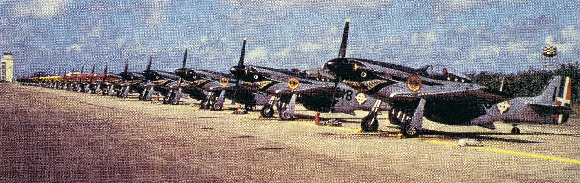 P-51D FAD 1919 Black 1 FAD_Escuadron_Caza_de_Ramfis_Line_Up.jpg