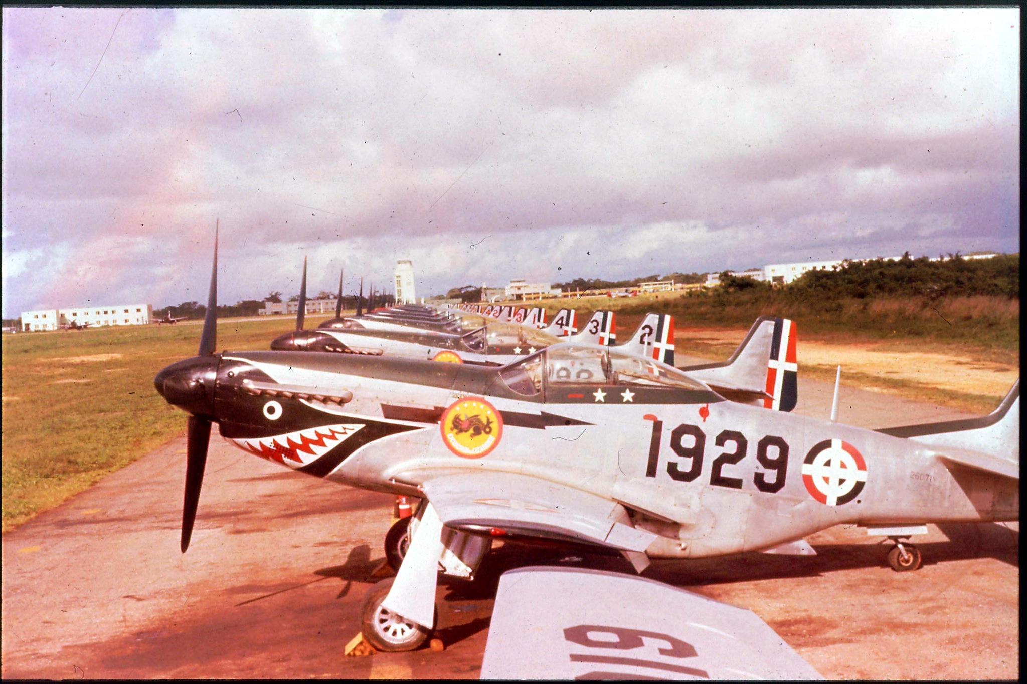 P-51D FAD 1919.jpg