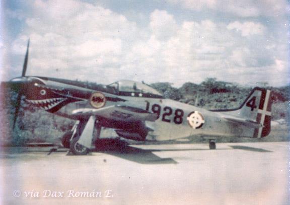 P-51D FAD 1928 Black 4.jpg