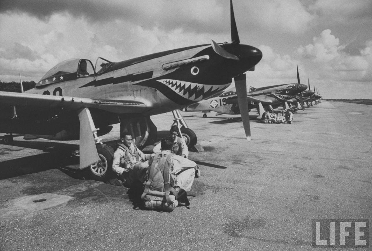 P-51D FAD BW.jpg