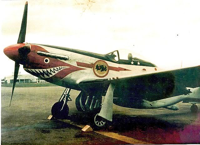P-51D FAD.jpg