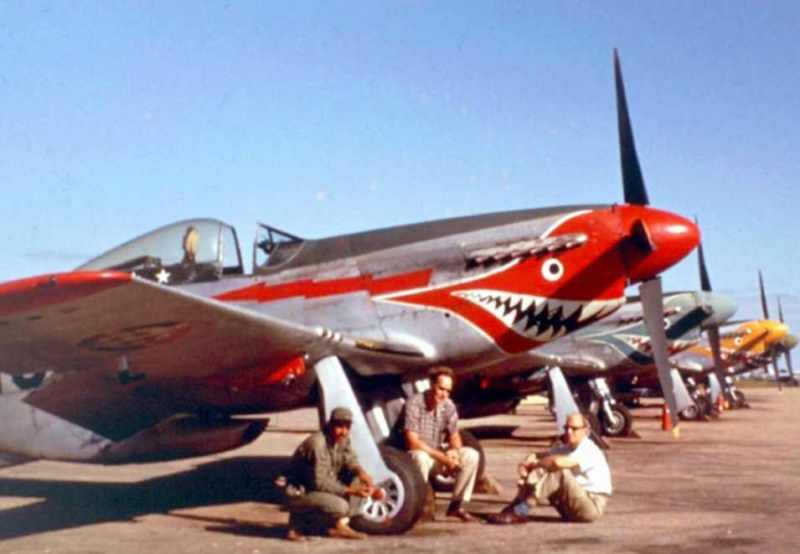 P-51D FAD lineup.jpg