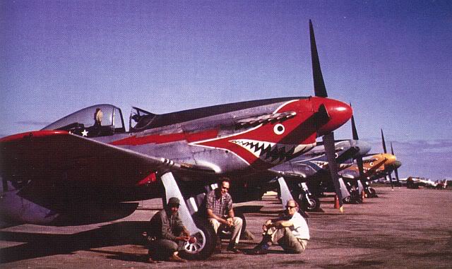 P-51D FAD Lineup Ramfiscolor.jpg