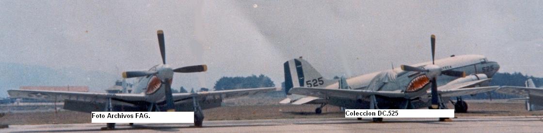 P-51D FAG f51tiburon3cs.jpg